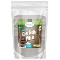 Entice Gluten Free Choc Muffin Mix (Rice Flour)
